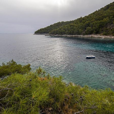 Secluded Fisherman'S Cottage Cove Skozanje, Hvar - 4009 Gdinj Eksteriør bilde